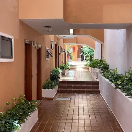 Ocean View Excellent Quiet Place Apartment Costa Adeje (Tenerife)