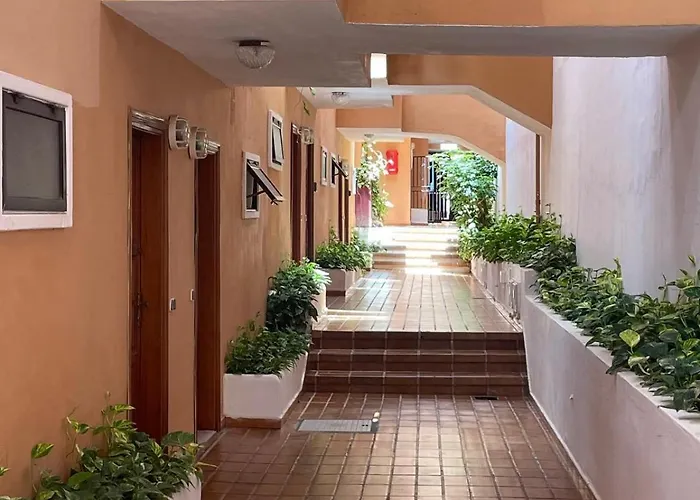 Ocean View Excellent Quiet Place Appartamento Costa Adeje (Tenerife)